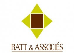 Batt Audit